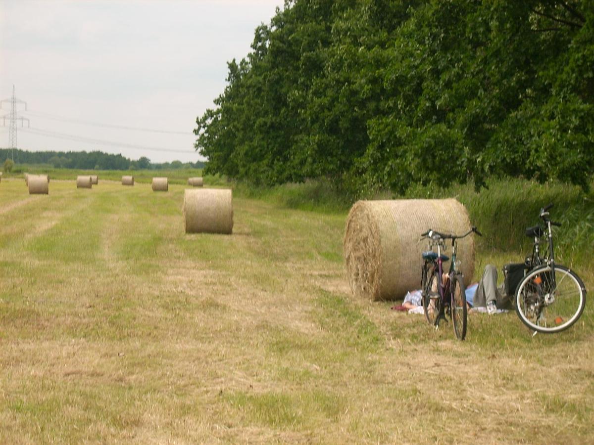 Spreewaldunterkunft Buchecker Lübben Exterior foto