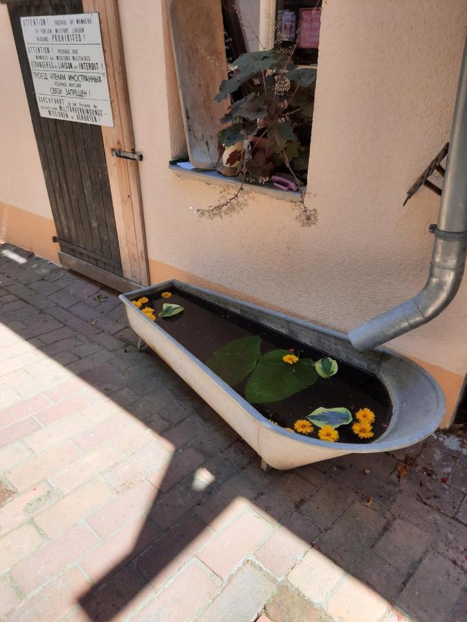 Spreewaldunterkunft Buchecker Lübben Exterior foto